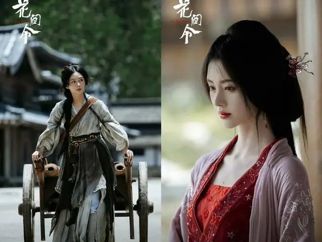 古装剧《花间令》1-32全集百度云网盘资源下载国语中字【BD1080P大结局-MKV高清】-1