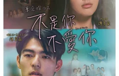 爱情电影《不是你不爱你》百度云网盘资源下载[HD1080p高清]免费在线观看缩略图