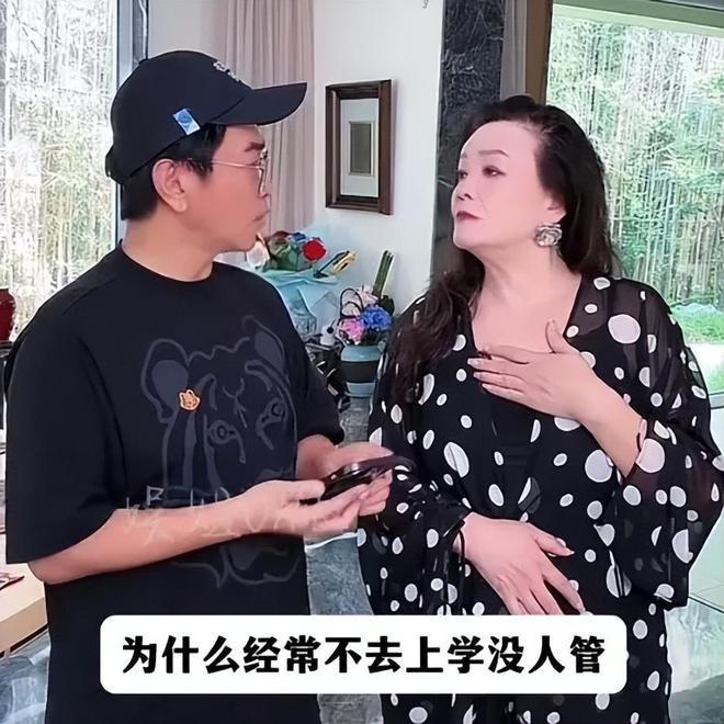 大S澄清儿子退学谣言，法院已受理阻止张兰行动的申请