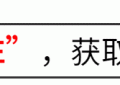 吴刚聊张若昀，演技俩字没提，但每句都在夸缩略图