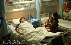 《玫瑰的故事》全集百度云网盘资源下载【1280P超高清阿里云盘】阿里云盘缩略图