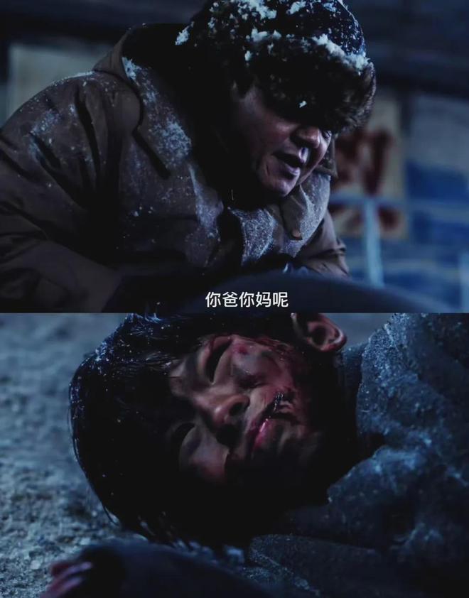 雪地迷踪：乐乐竟是姜小海，小马哥原是姜迎紫！王建民为妻背锅烧药厂