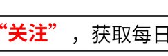 央一开播！40集历史剧来了，于和伟主演，得熬夜追了缩略图