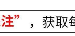 麦琳李行亮笑爆了，单枪匹马就把刘亦菲的流量给比下去了！缩略图