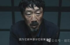 《白夜破晓》百度网盘下载高清无水印阿里云盘【HD1080P-MP4】在线分享缩略图