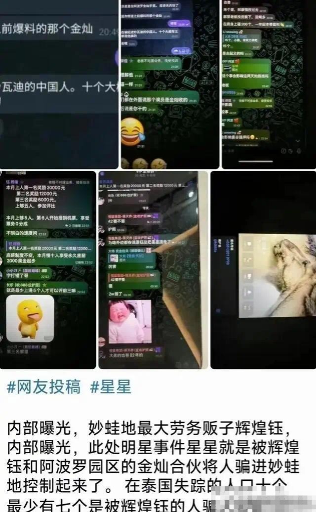 公司绑架王星的案子破了，抓到的嫌疑人竟是自己人，外号金老虎，大家叫他玉总