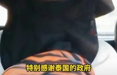 王星平安现身，承认被骗不敢反抗，特别感谢女友缩略图