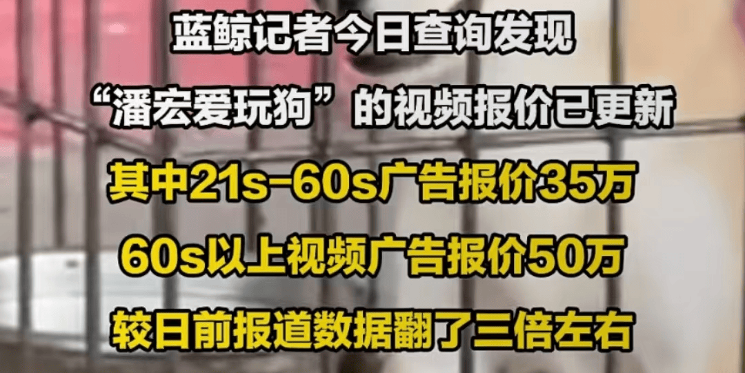 网红潘宏被指虐狗引热议！严训狗狗月入近百万，网友要求严处