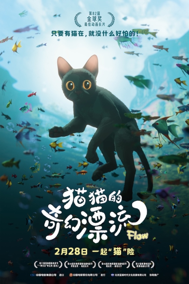 《猫猫的奇幻漂流》在线观看[HD1080P超清]完整阿里云盘版[HD1080P超清]【1280p高清】