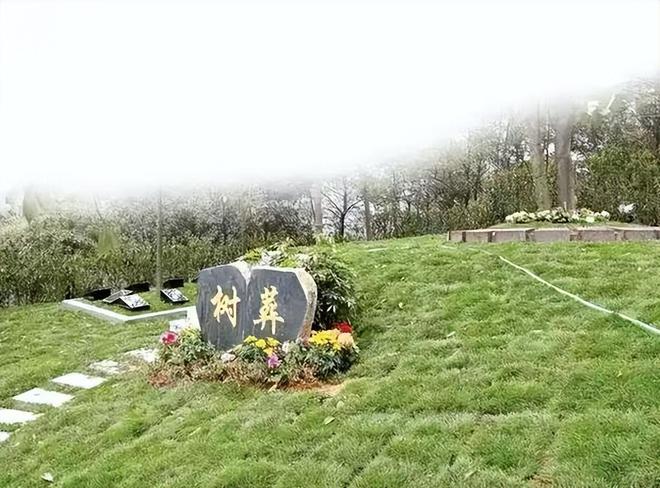 小玥儿想跟爸爸，徐家没办法只能交抚养权，树葬其实不咋地，一年后还得翻土呢