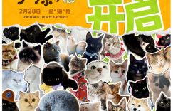 《猫猫奇幻漂流》百度网盘下载高清无水印阿里云盘【HD1080P-MP4】在线分享缩略图