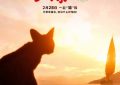 《猫猫的奇幻漂流》百度云网盘完整下载【HD】高清阿里云盘免费资源缩略图