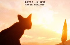 《猫猫的奇幻漂流》百度云网盘完整下载【HD】高清阿里云盘免费资源缩略图